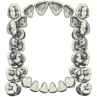 Design (Haut et Bas)